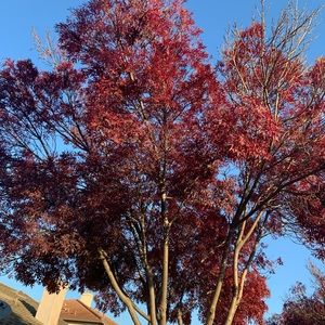 Meet your Posher, Jen